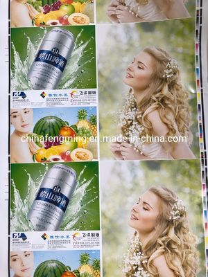 200m/min Printing Speed Flexo Paper Bag Printer for 8 Colors Made in Fengming Machinery