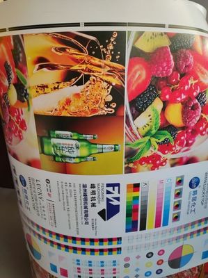 Petal 4 Colour Flexo Printing Machine PLC Control Stable High Efficient