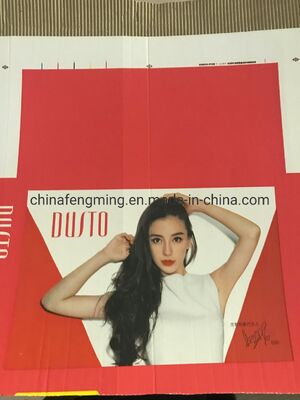 Automatically Paper Bag Flexo Printing Machine Efficiency Flexo Printing Machine