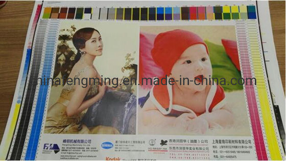 Automatically Paper Bag Flexo Printing Machine Efficiency Digital Flexo Printing Machine