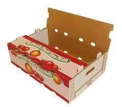 Auto Paper Cup Flexo Printing Machine Roll To Roll Flexographic Printing Machine 4 Color