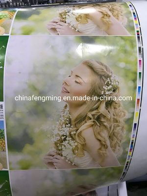 FM-CS1320 Petal type paper bags printing machine  Servo motors Driving Flexo Printing Machine with Embossing Structure Rotary Letterpress