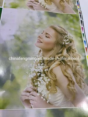FM-CS1320 Petal type paper bags printing machine  Servo motors Driving Flexo Printing Machine with Embossing Structure Rotary Letterpress