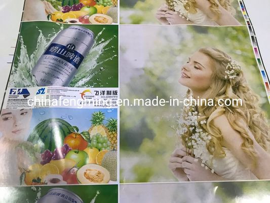 FM-CS1320 Petal type paper bags printing machine  Servo motors Driving Flexo Printing Machine with Embossing Structure Rotary Letterpress