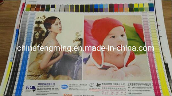 Web Paper Roll to Roll Flexographic Printing Machine FM-B 1320 1000/1200/1300 mm Max. Printing Width