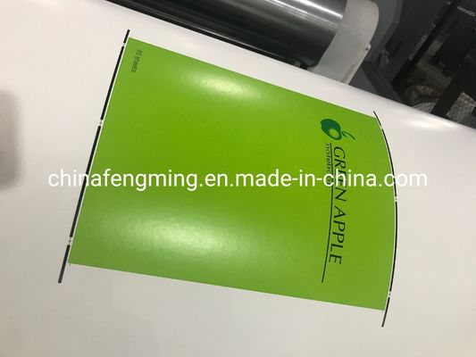 High Versatility Automatic Flexo Printing Machine 1/8cp Gearing 1000mm Width