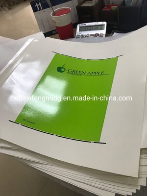 High Versatility Automatic Flexo Printing Machine 1/8cp Gearing 1000mm Width
