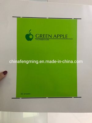 High Versatility Automatic Flexo Printing Machine 1/8cp Gearing 1000mm Width