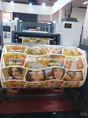 High Versatility Automatic Flexo Printing Machine 1/8cp Gearing 1000mm Width