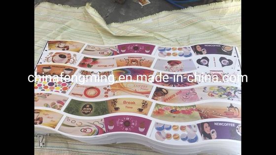 Customizable 1 Color Flexo Printing Machine High Precision Intelligent
