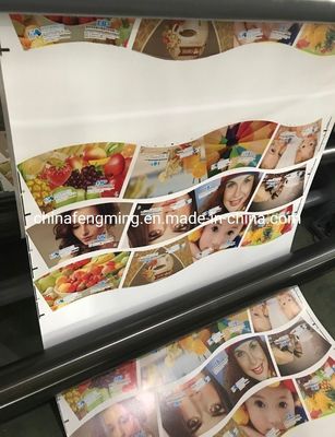 Max. Web Width 920/1020/1220mm FM-B 920-1850 Flexographic Printing Machine for Paper Cup