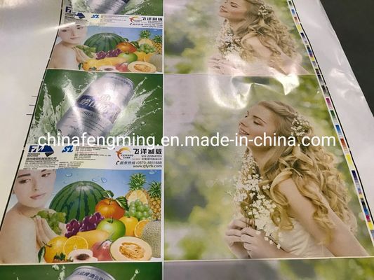 Automatic Grade Automatic Flexo Plastic BOPP Printing Varnishing Machine for Output