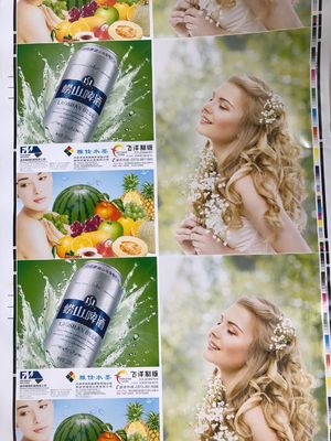 Hot Air Drying Flexo Printing Equipment Customized For Art Paper Chrome Paper