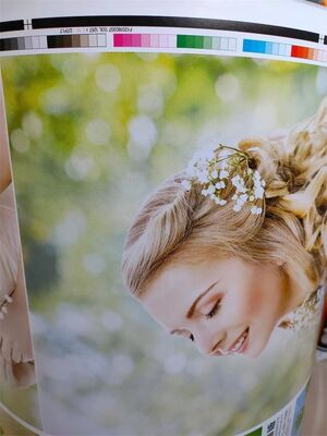 Single Faced Flexo Printing Machine 6 Colours High Productivity Intelligent