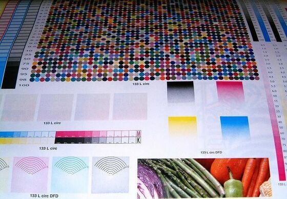 Single Faced Flexo Printing Machine 6 Colours High Productivity Intelligent