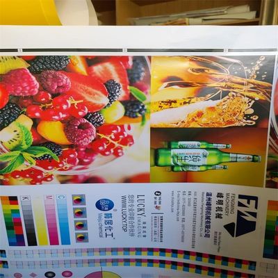 Multifunctional Paper Cup Flexo Printing Machine Custom 6 Colour Flexo Printing Machine